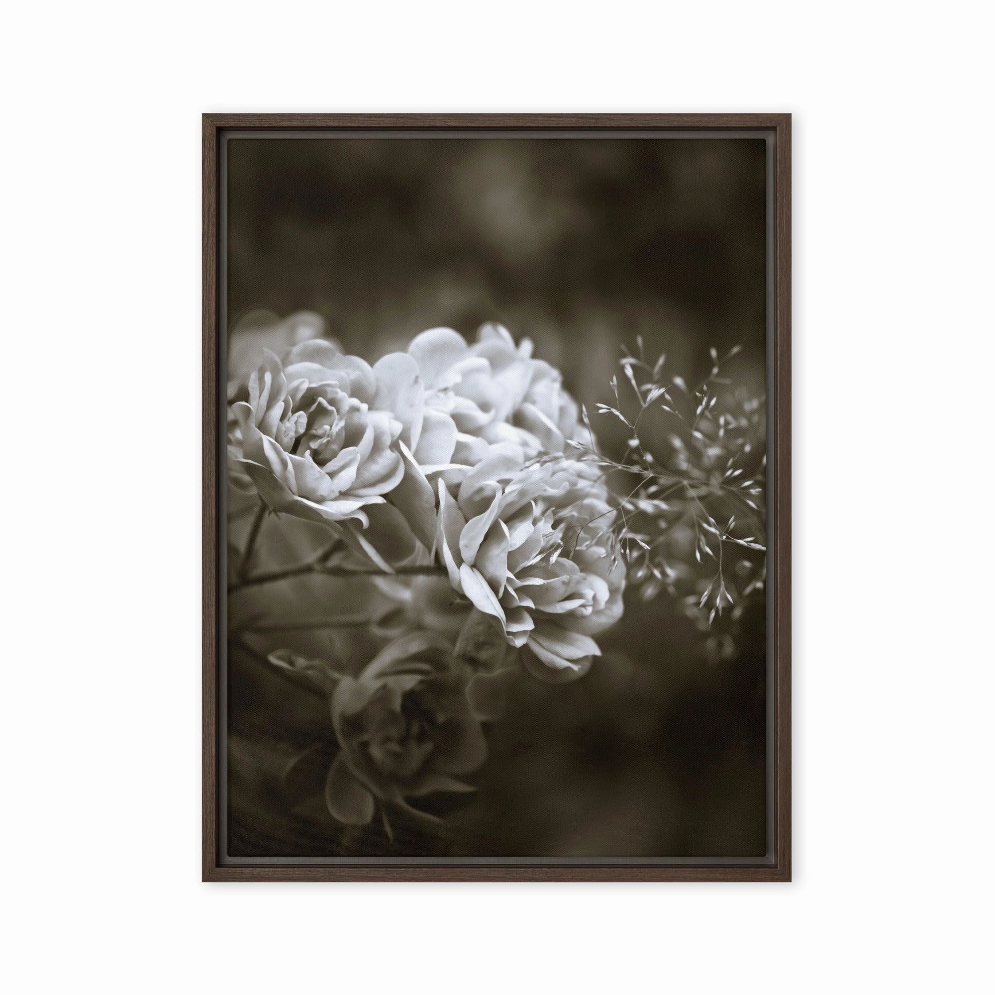 Canvas - White Peonies