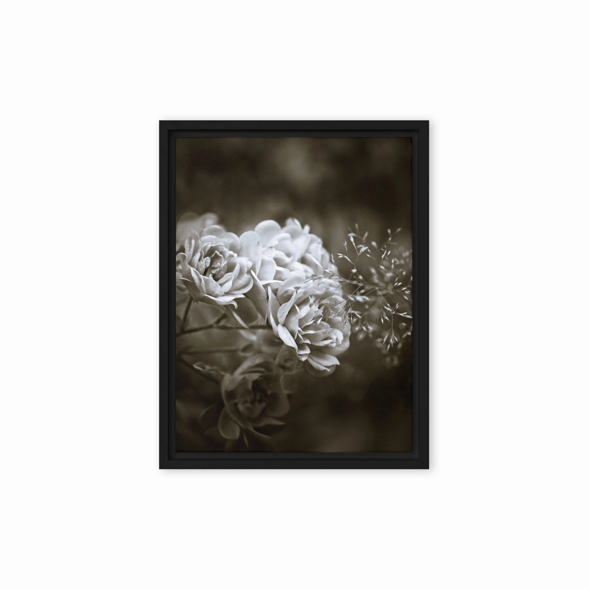 Canvas - White Peonies