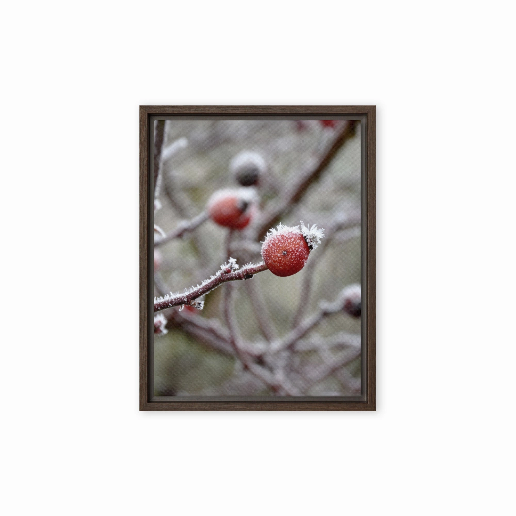 Canvas - Winter Berries II