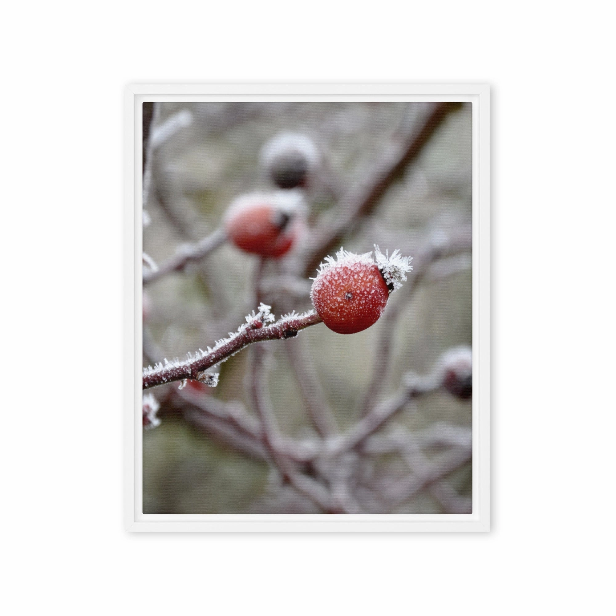 Canvas - Winter Berries II