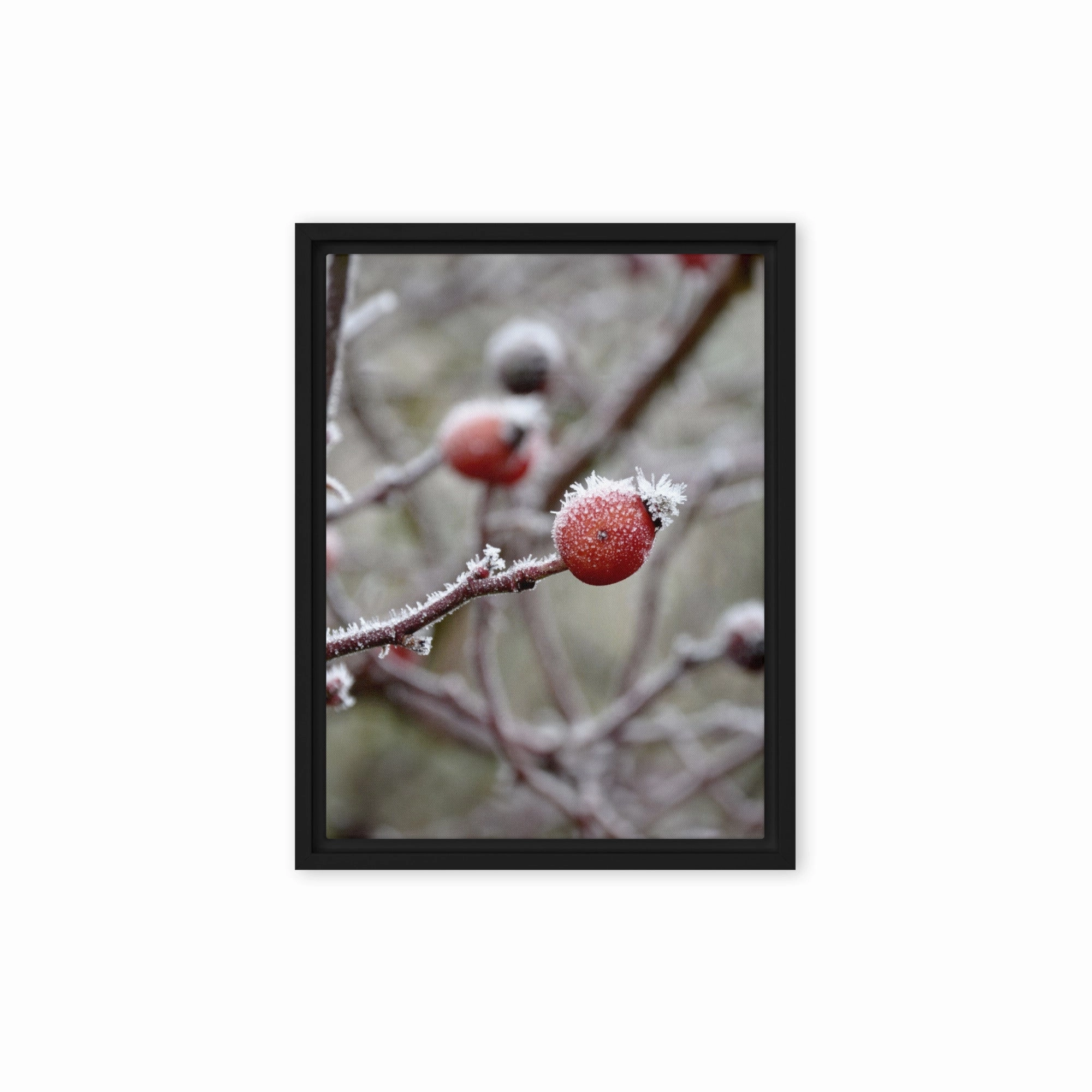 Canvas - Winter Berries II