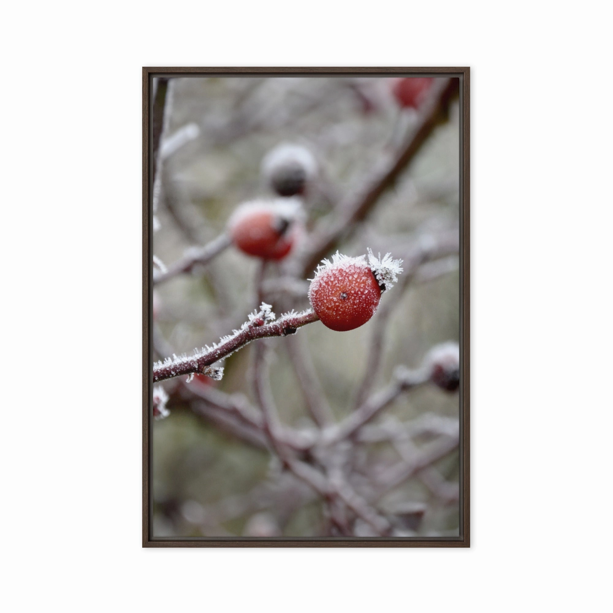 Canvas - Winter Berries II