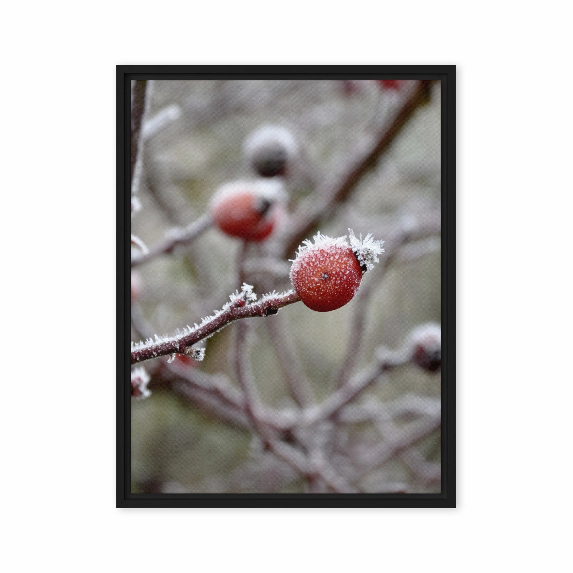Canvas - Winter Berries II