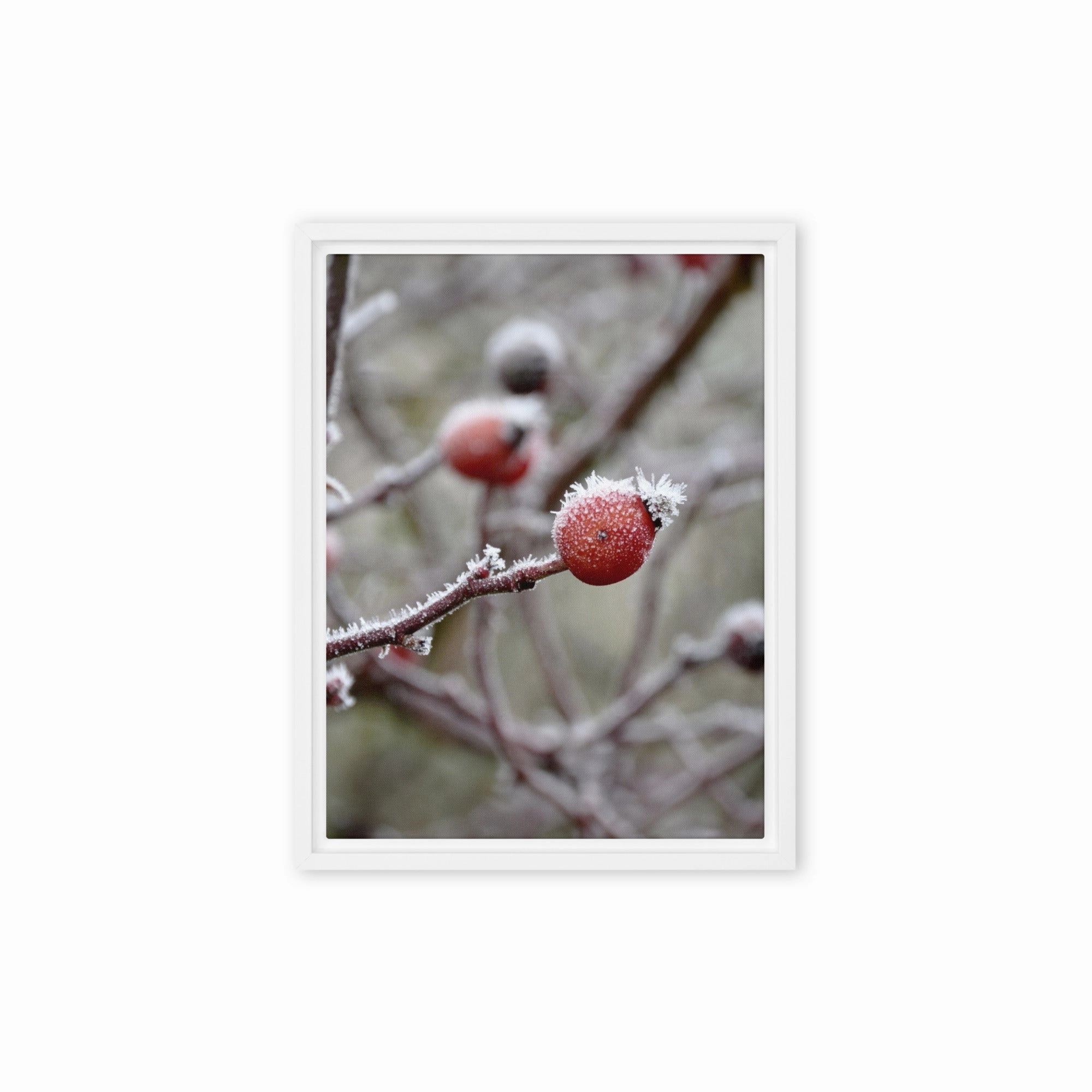Canvas - Winter Berries II