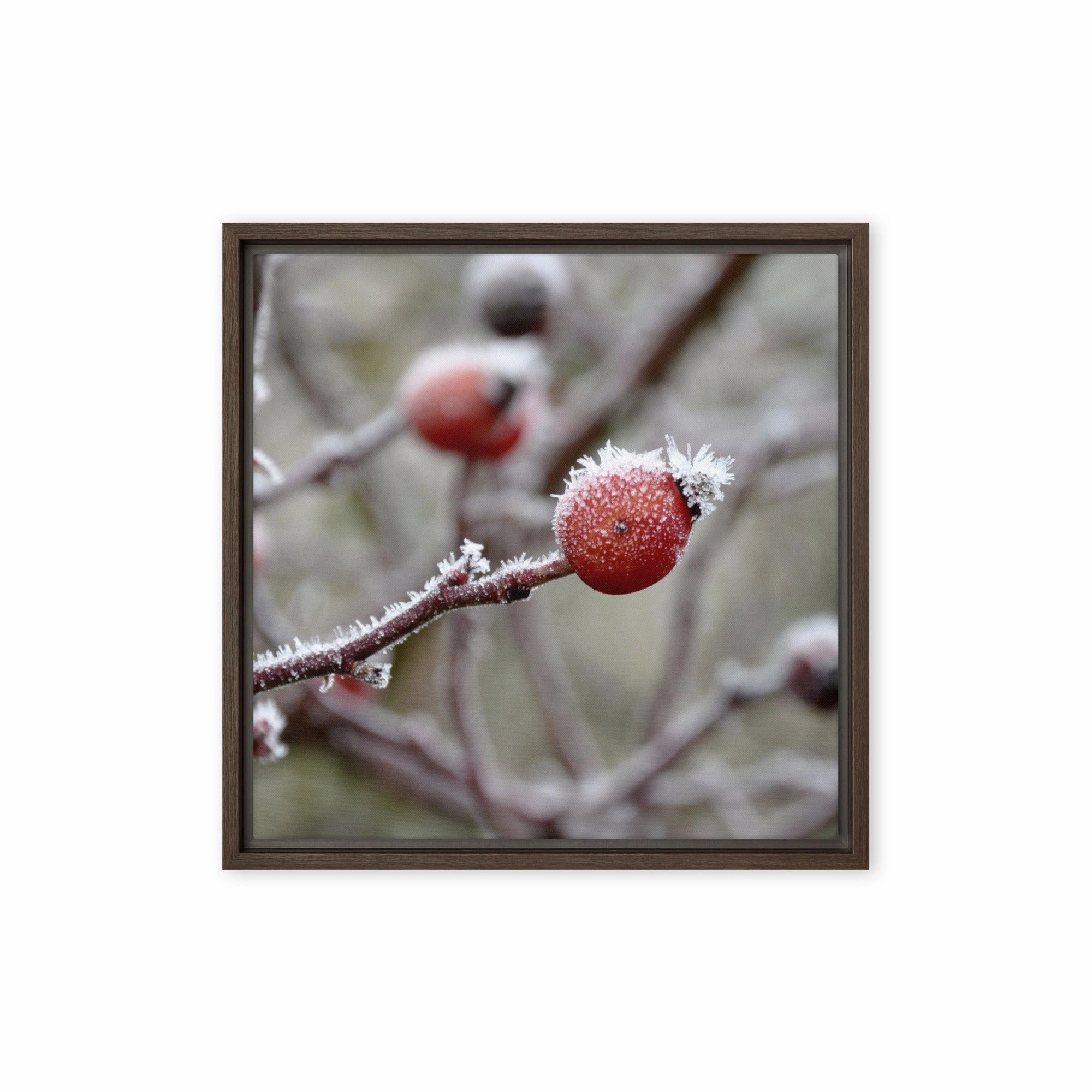 Canvas - Winter Berries II
