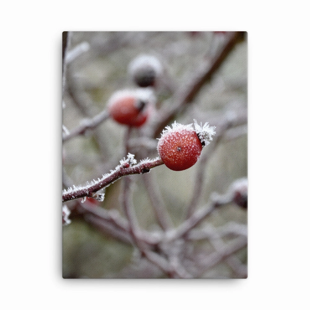 Canvas - Winter Berries II
