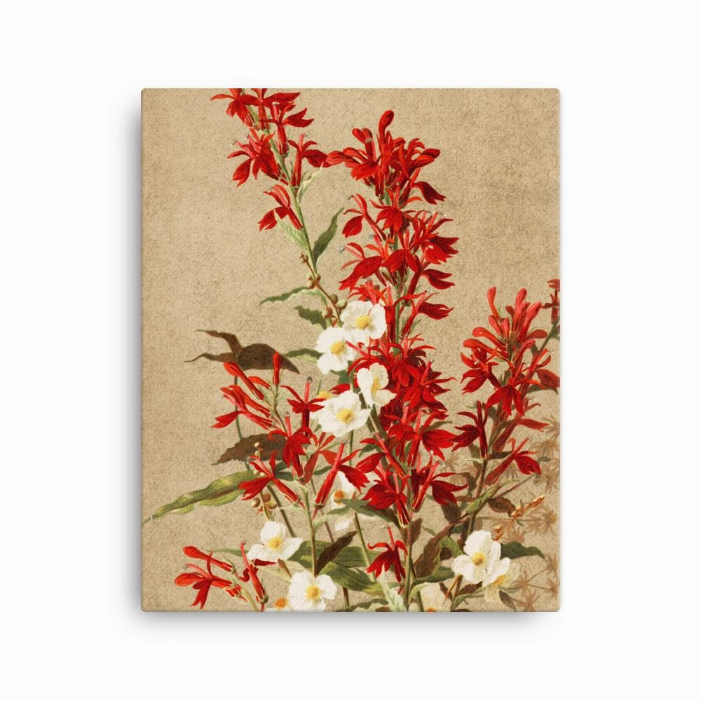 Cardinal Flowers - Canvas