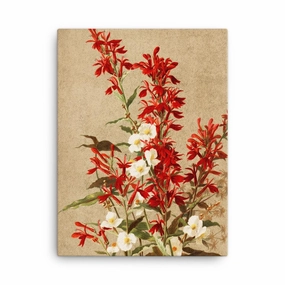 Cardinal Flowers - Canvas canvas mural art