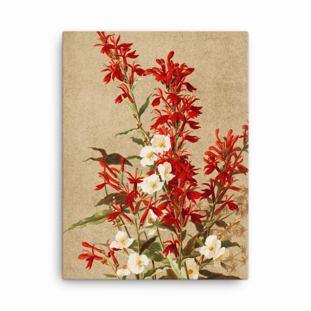 Cardinal Flowers - Canvas canvas mural art