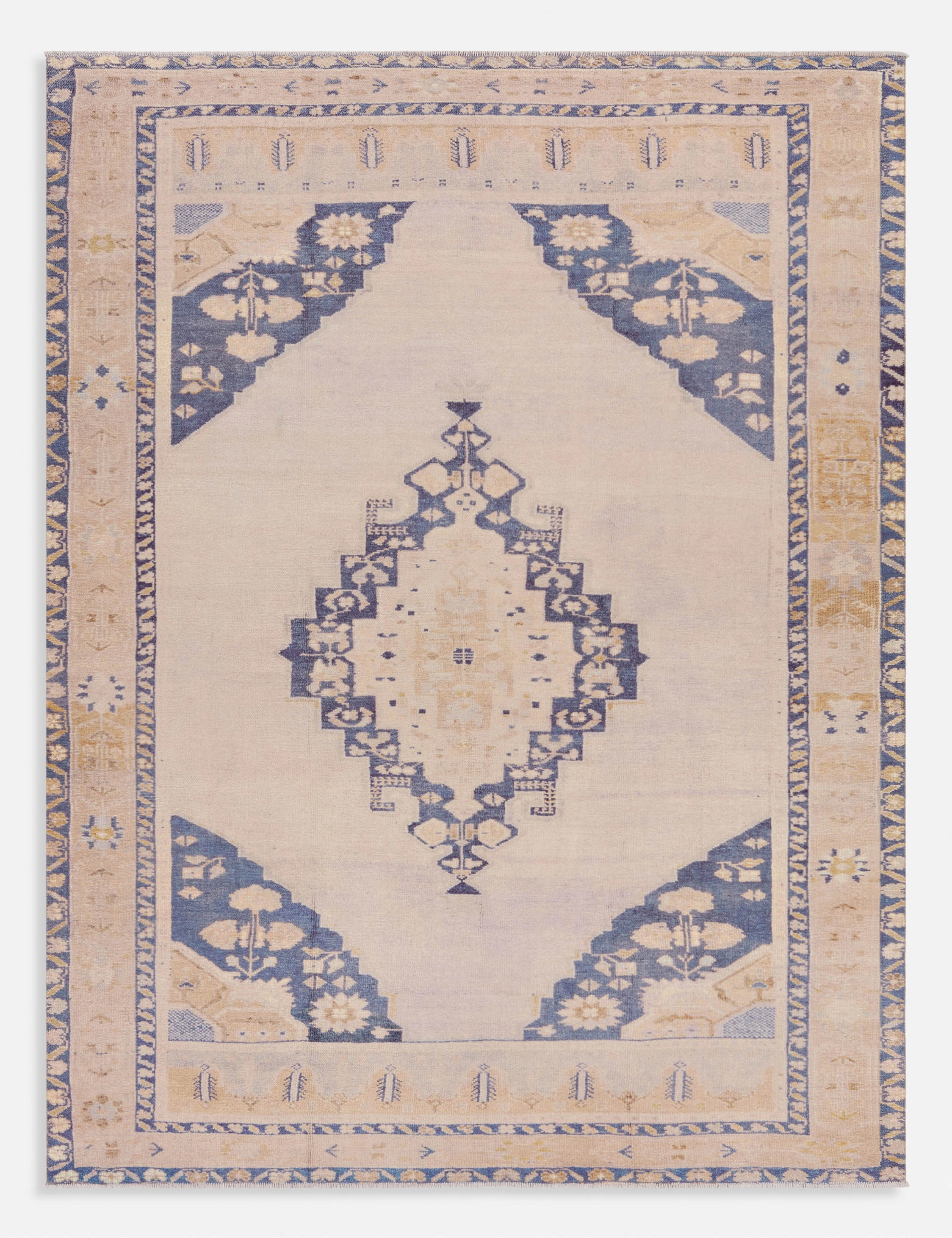 Carmenta Rug trendy fashion rug