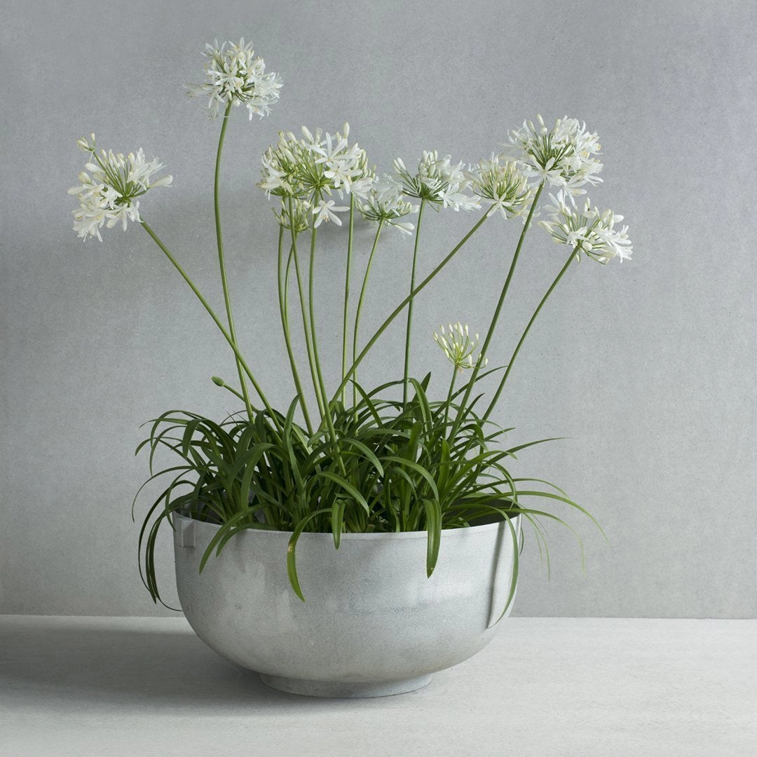 Castle Planter