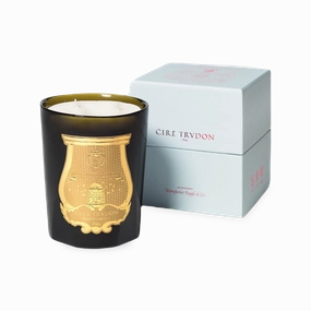 Cire Trudon Candle elegant wall decor