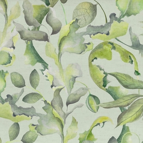 Claudia Printed Cotton Fabric (By The Metre) Sage elegant table cloth  