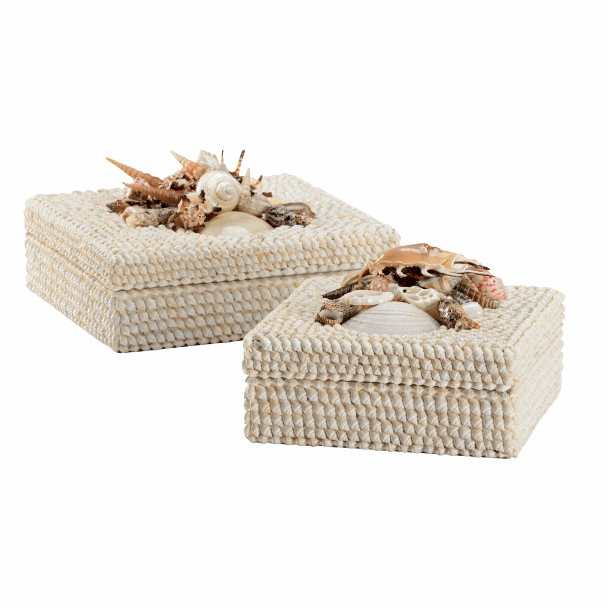 Coastal White Shell Set of Two Decorative Boxes home display ornament