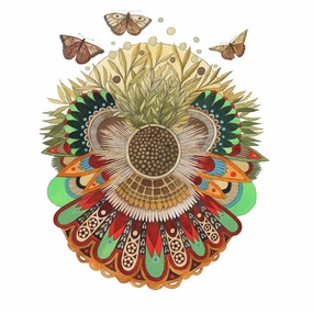 Collector: Flutter - Art Print framed wall decor
