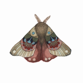 Collector: Moth 3 - Art Print framed wall decor