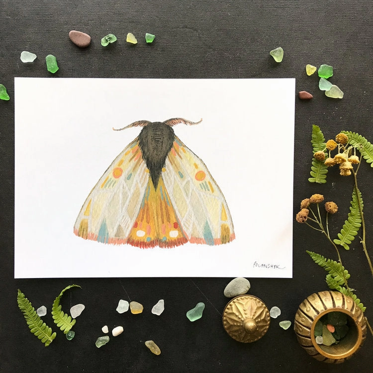 Collector: Moth 9 - Art Print