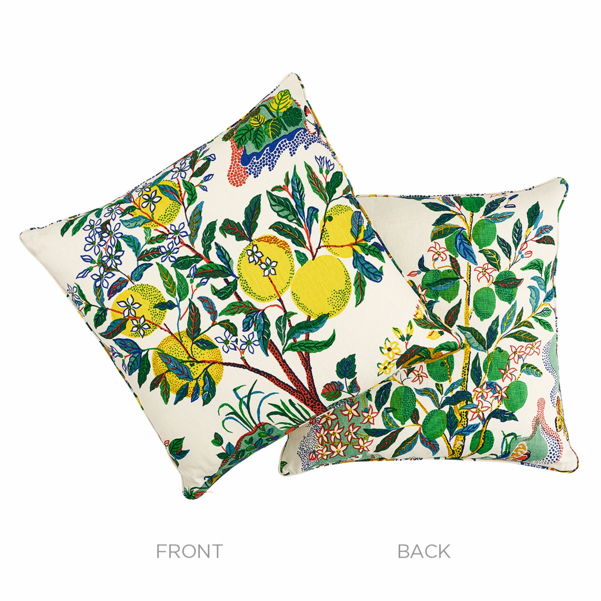 Colorful Citrus Garden Print  22" Throw Pillow