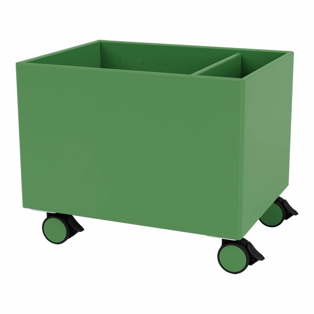 Colour Box II  S4162