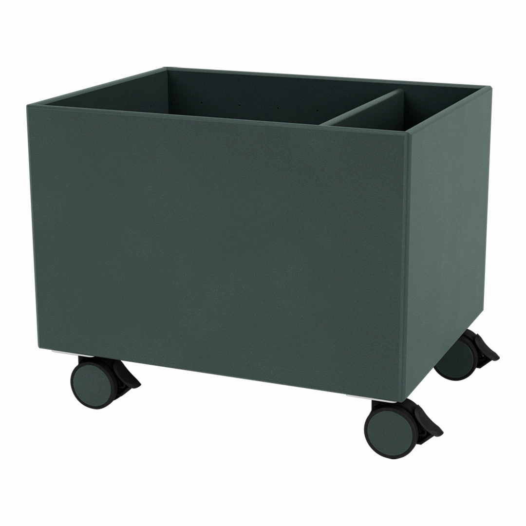 Colour Box II  S4162