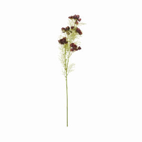 Cosmos Stem elegant wall decor