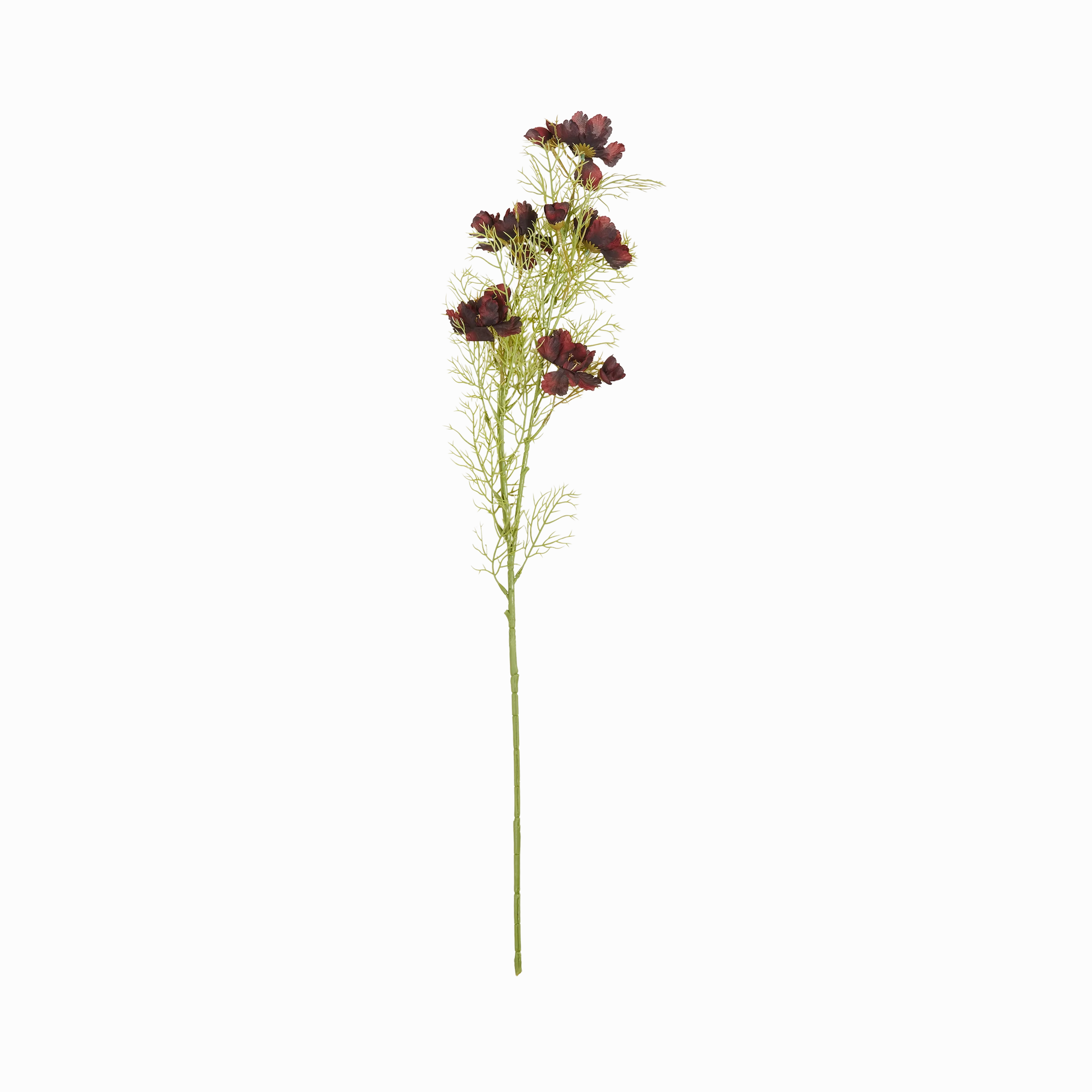 Cosmos Stem elegant wall decor