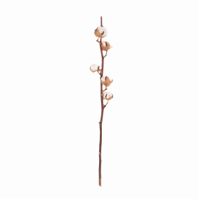 Cotton Stem elegant wall decor