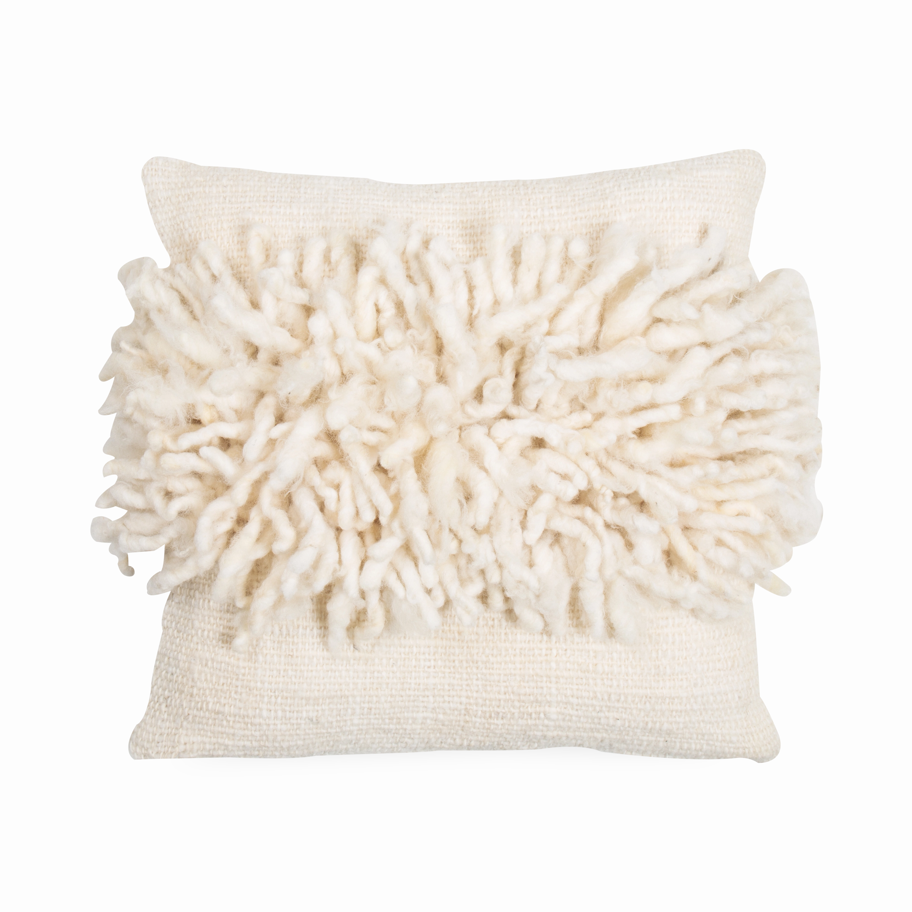 Curly Wool Pillow elegant wall decor