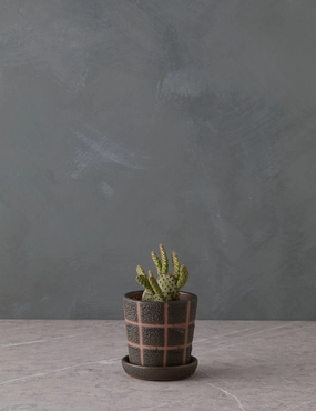 Curran Planter decorative tabletop item