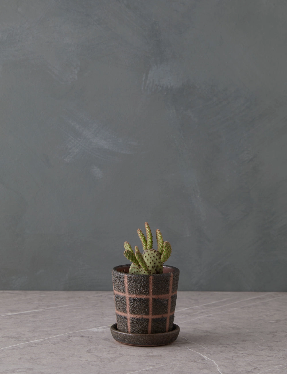 Curran Planter decorative tabletop item