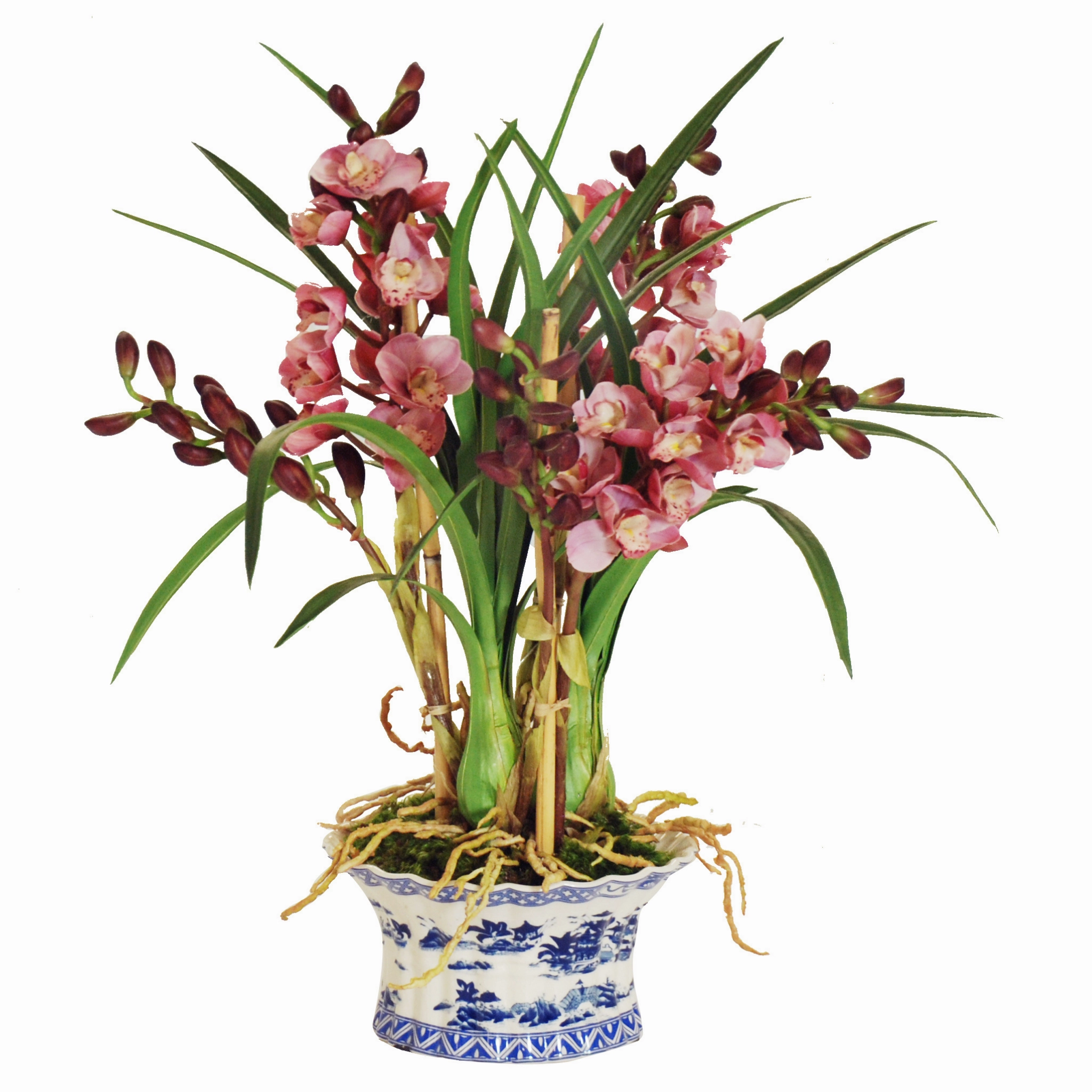 Cymbidium Pink Orchid in Oval Planter home display ornament