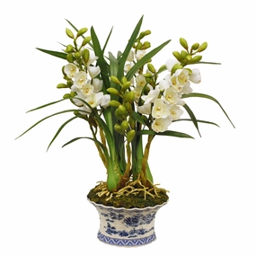 Cymbidium White Orchid in Oval Planter home display ornament
