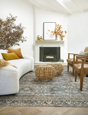 Dacion Rug trendy fashion rug