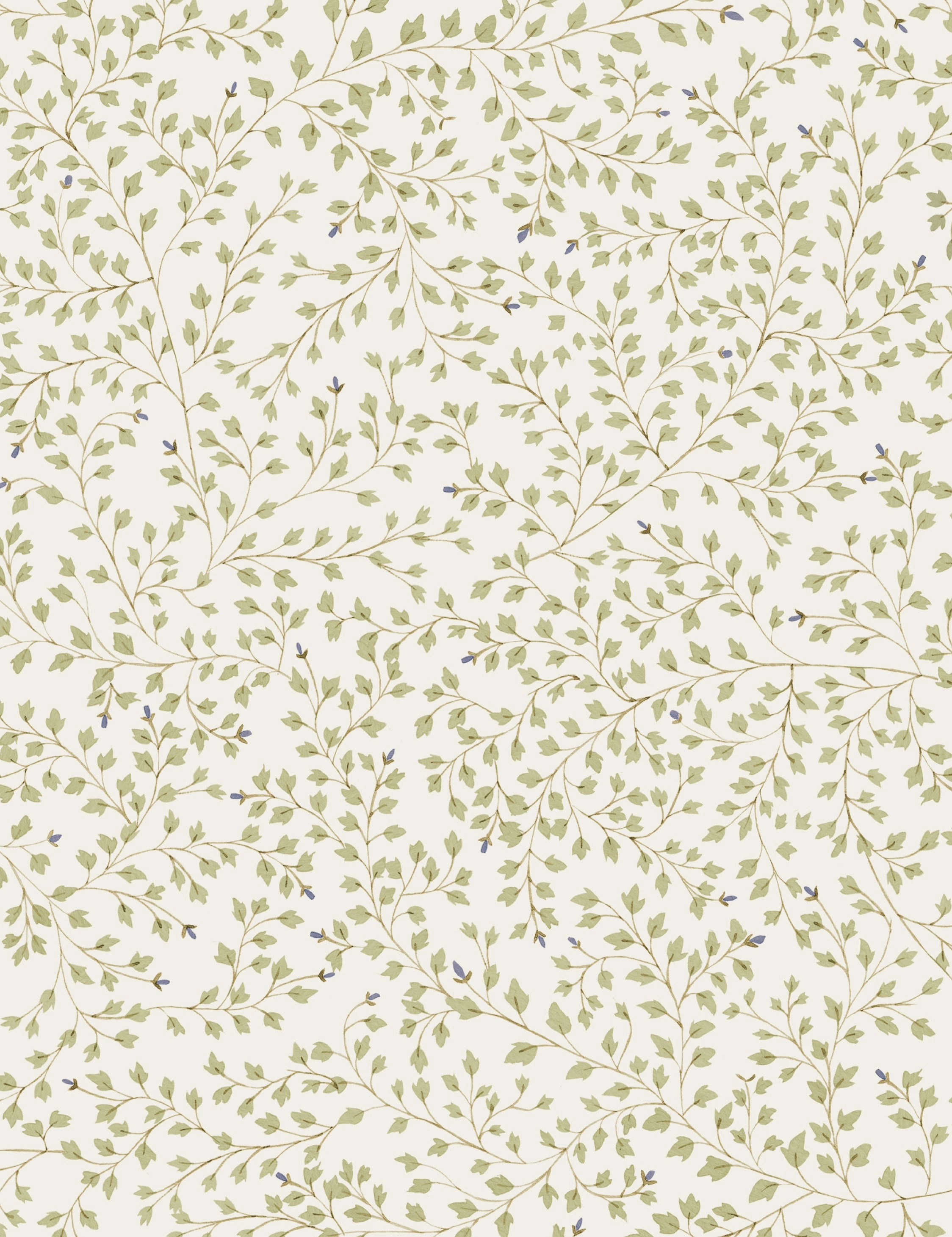 Dainty Leaves Linen Curtain Panel by Rylee   Cru