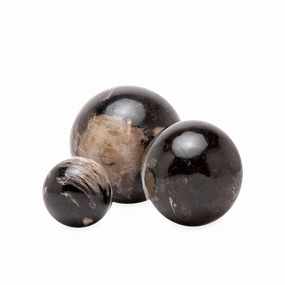Dark Petrified Wood Balls elegant wall decor