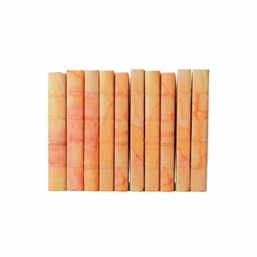 Decorative Books in Orange Acid Wash home display ornament