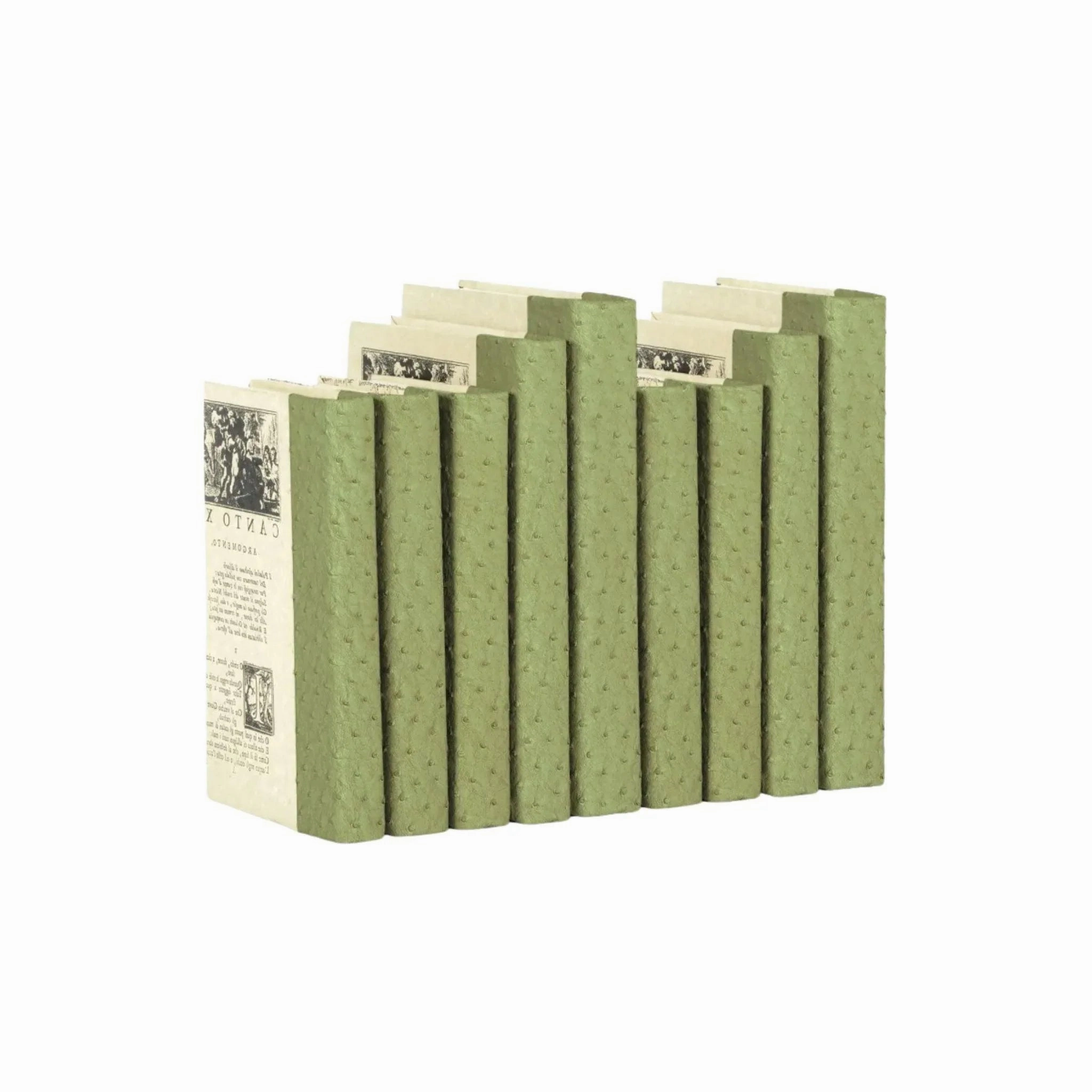 Decorative Books in Ostrich Moss home display ornament