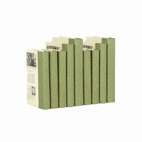 Decorative Books in Ostrich Moss home display ornament