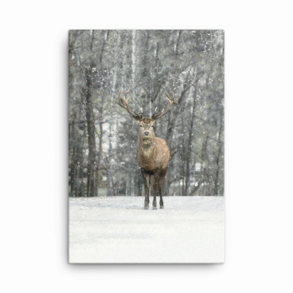 Deer in the Snow - canvas