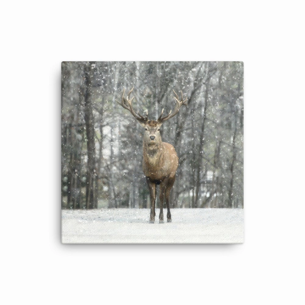 Deer in the Snow - canvas