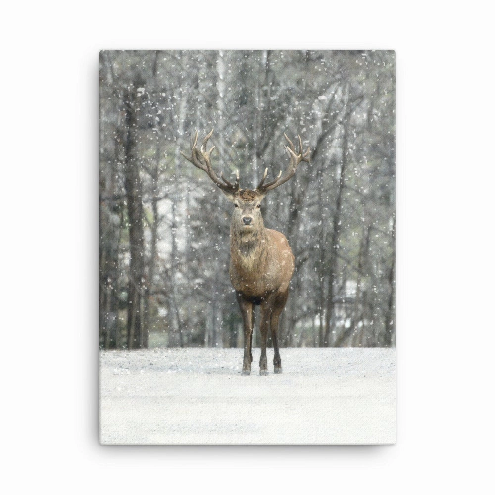 Deer in the Snow - canvas canvas mural art