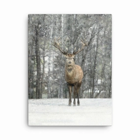 Deer in the Snow - canvas canvas mural art
