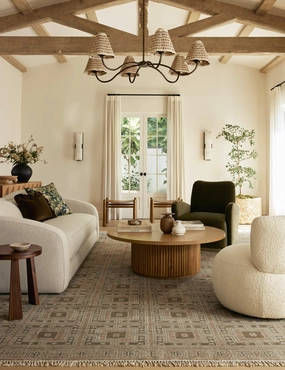Delina Hand-Knotted Wool Rug trendy fashion rug
