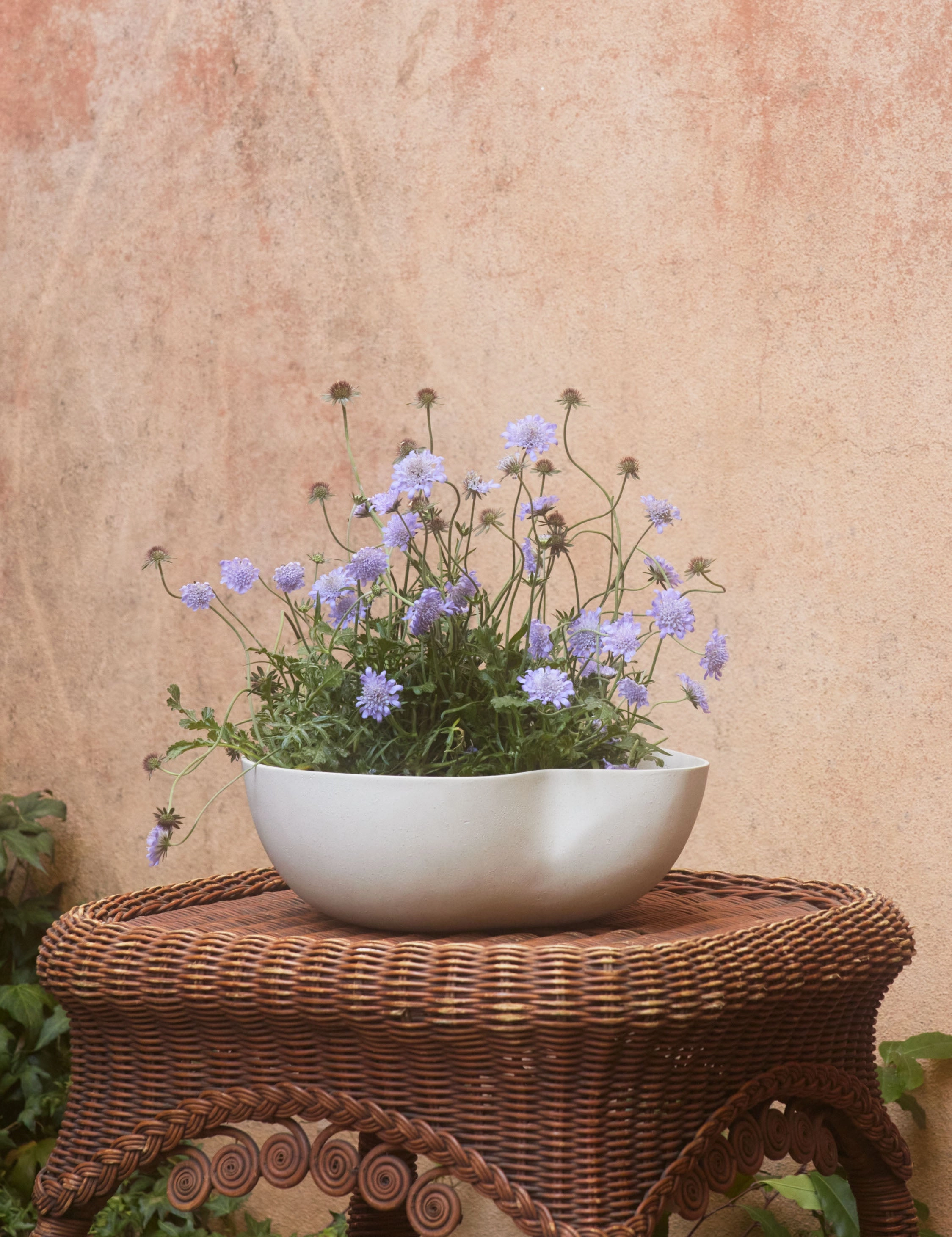 Dempsy Low Planter by Sarah Sherman Samuel decorative tabletop item