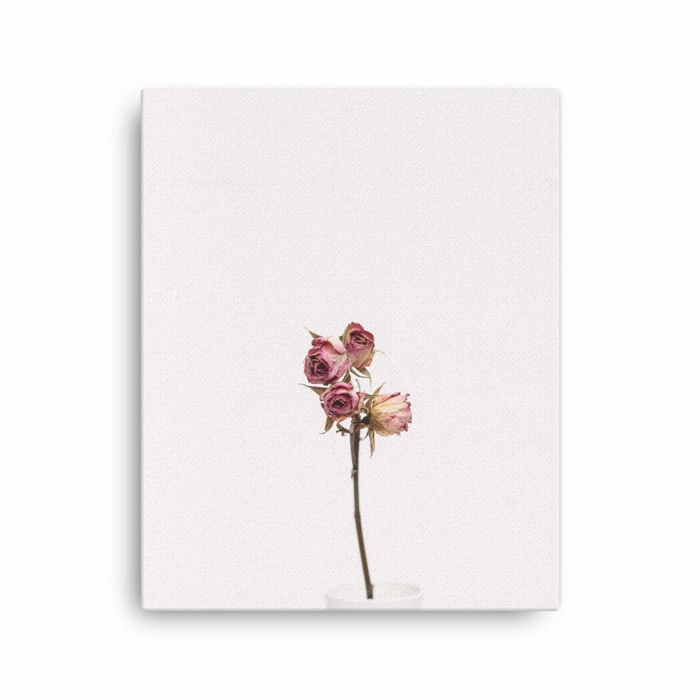 Dry roses - canvas