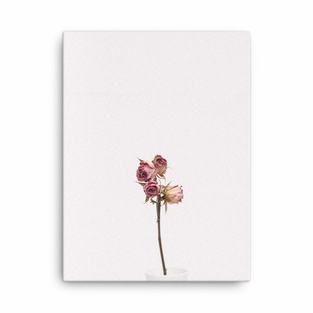 Dry roses - canvas canvas mural art