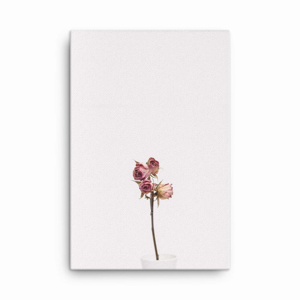 Dry roses - canvas