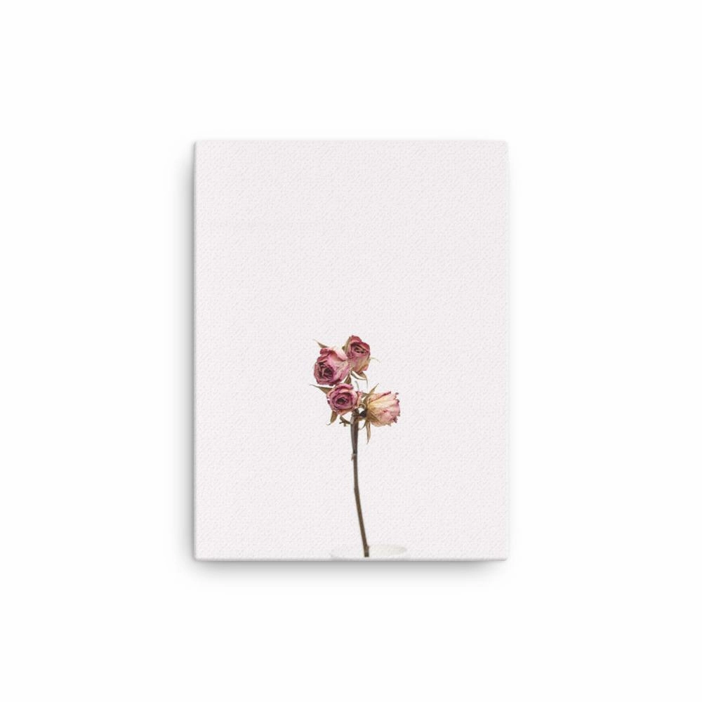 Dry roses - canvas