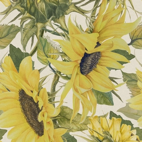 Easton Printed Cotton Fabric (By The Metre) Fern/Natural elegant table cloth  