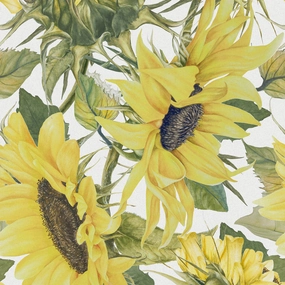 Easton Printed Cotton Fabric (By The Metre) Fern elegant table cloth  